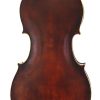 German Cello Back 1920